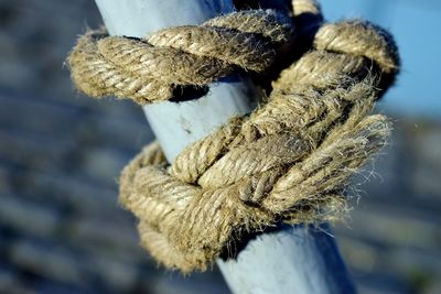 Close-up of rope tied on snow