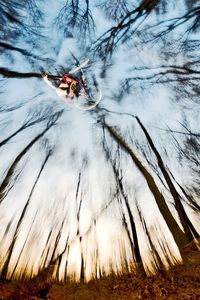Bare trees against sky