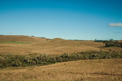 Rural lowlands called pampas with hills covered by dry bushes at sunset near cambará do sul. brazil.