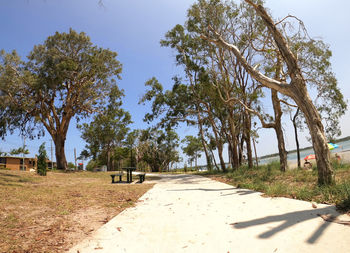 Road amidst trees on field against sky