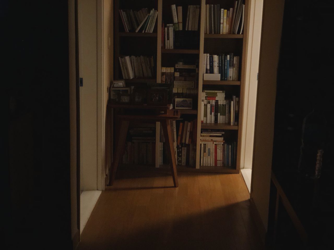 VIEW OF BOOKS IN SHELF AT HOME