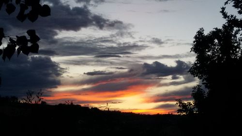 Silhouette of trees against dramatic sky