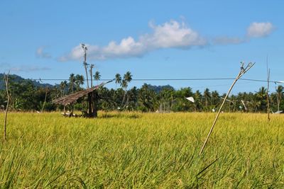 Scenic view of field against cloudy sky