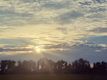 Sunlight streaming through silhouette trees against sky during sunset