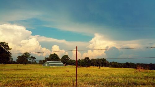 Scenic view of grassy field against sky