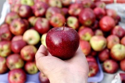 Cropped hand of person holding apple