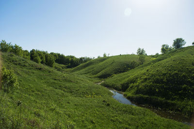 Scenic view of landscape against clear sky