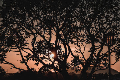 Low angle view of silhouette trees against sky at sunset