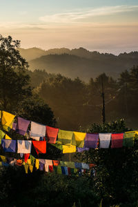 High angle view of prayer flags against trees and mountain