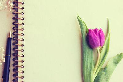 Close-up of pink flower on white table