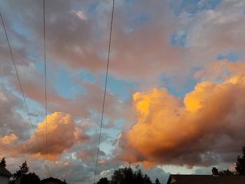 Low angle view of trees against sky