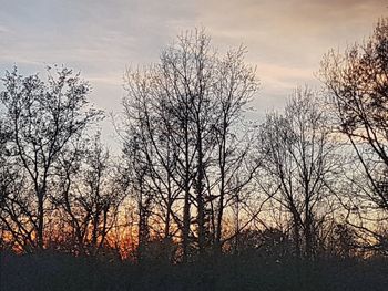 Silhouette bare trees on field against sky during sunset