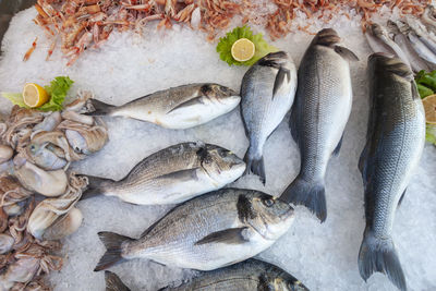 High angle view of fish for sale in market