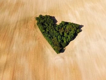 High angle view of field with heart shape formation if trees