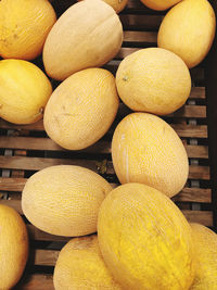 Melon fruits on a wooden background 