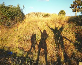 Shadow of people on tree
