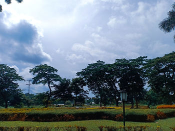 Trees on field against sky