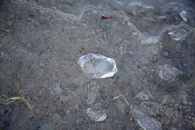 High angle view of ice crystals on rock