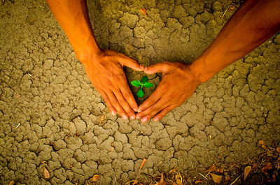 Close-up of human hand in desert