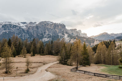 Scenic view of trees and mountains against sky