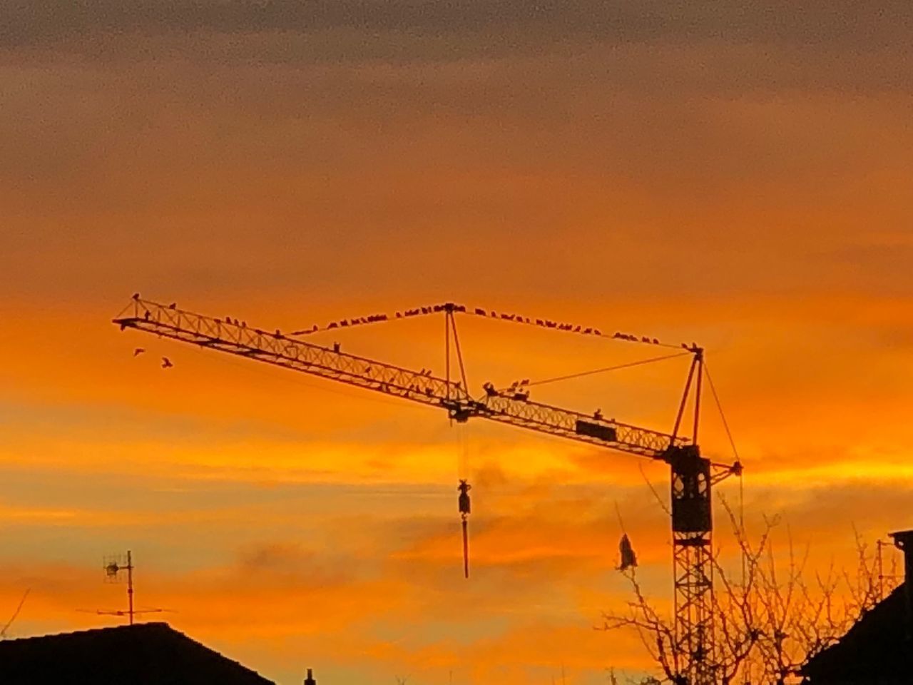 LOW ANGLE VIEW OF SILHOUETTE CRANES AGAINST SKY DURING SUNSET