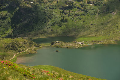 Scenic view of sea