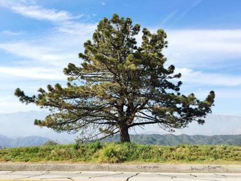 Trees on landscape against cloudy sky