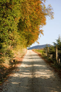 Road amidst trees against sky during autumn