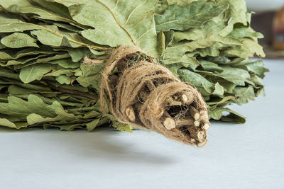 Handmade bath broom made of oak branches wrapped with twine. white background. close-up