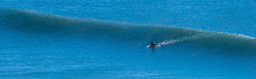 High angle view of man swimming in sea