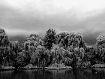 Trees by lake against sky