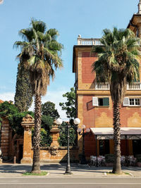 Palm trees by building against sky