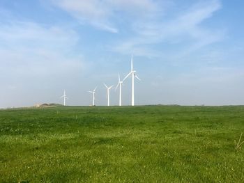 Wind turbines in field 