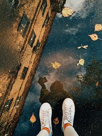Low section of person standing on puddle during autumn