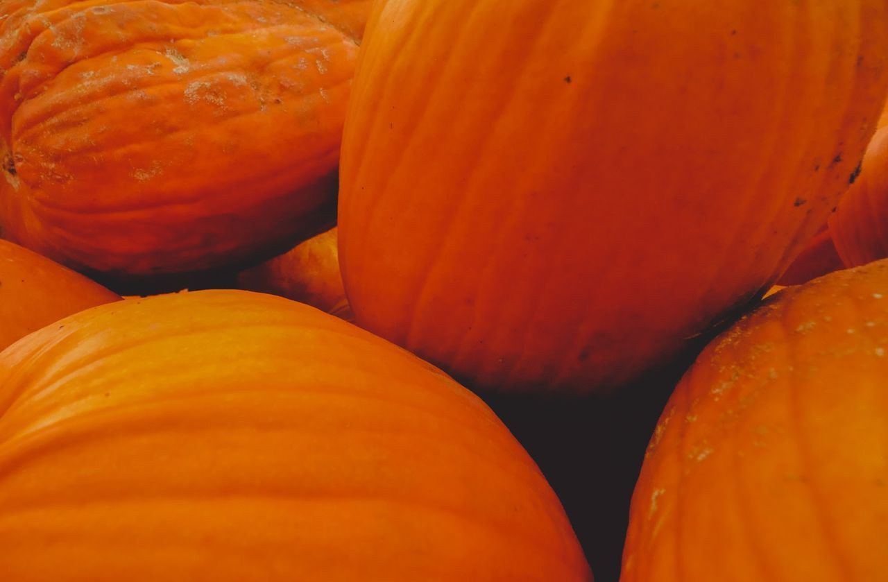 HIGH ANGLE VIEW OF PUMPKINS IN MARKET