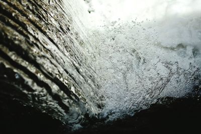 Close-up of water drops on white surface