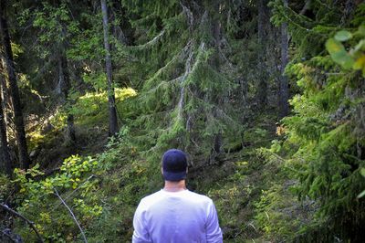 Rear view of man amidst trees in forest