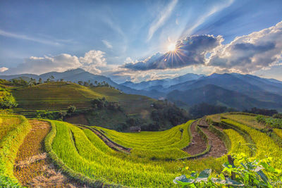 Panoramic view of agricultural field against sky