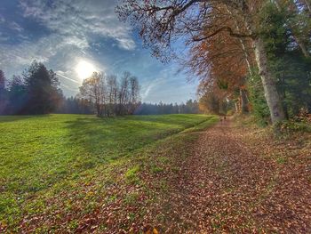 Trees on field against sky during autumn