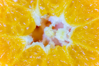 Full frame shot of orange fruit