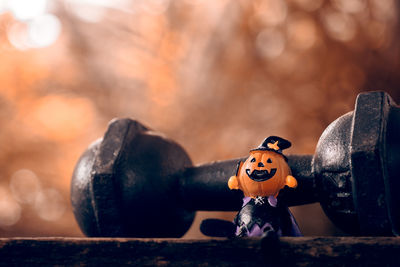 Close-up of toy and dumbbell on table