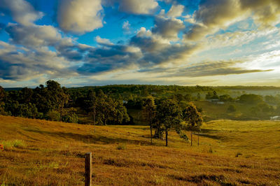 Scenic view of field against sky