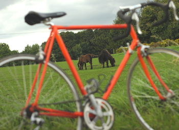 Horse and foal grazing on field seen through bicycle