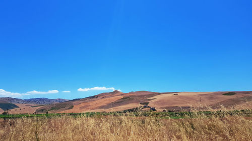 Scenic view of field against clear blue sky