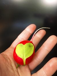 Close-up of hand holding strawberry