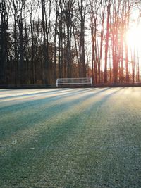 Soccer field against trees during sunny day