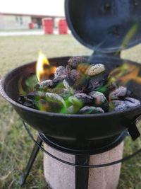 Close-up of fresh green leaf