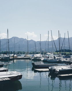 Boats moored at harbor