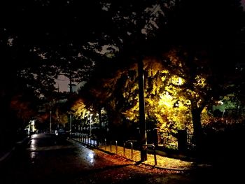 Illuminated street lights at night