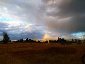 Scenic view of field against sky during sunset